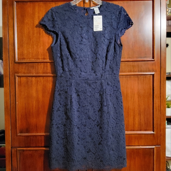 H&M Dresses & Skirts - NWT!  H&M Blue  Lace Floral Embroidered Cap Sleeve Fit & Flare Round Neck Size 6